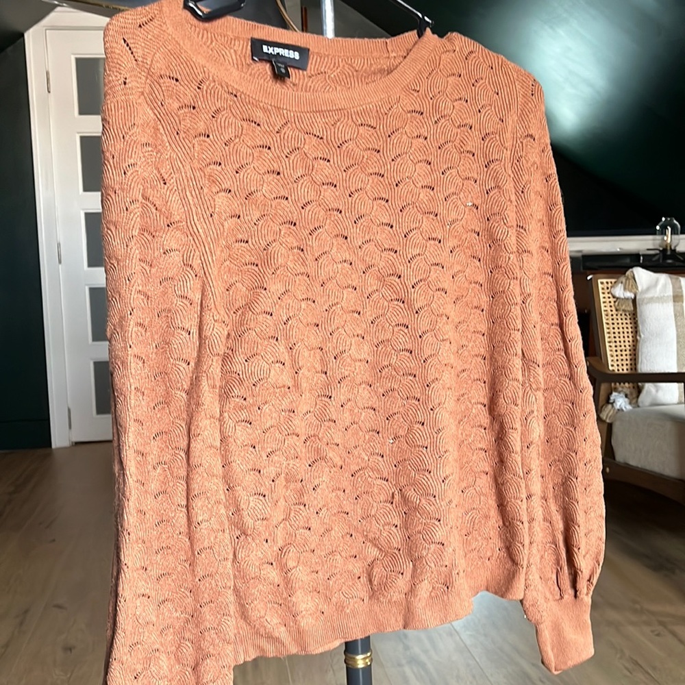 Express sweater